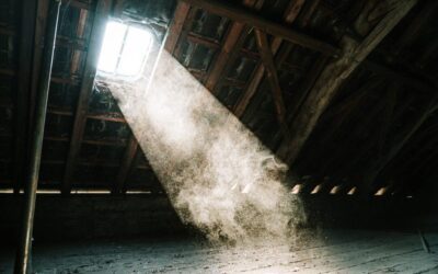 The 6 Ways To Protect Your Home From Airborne Dust